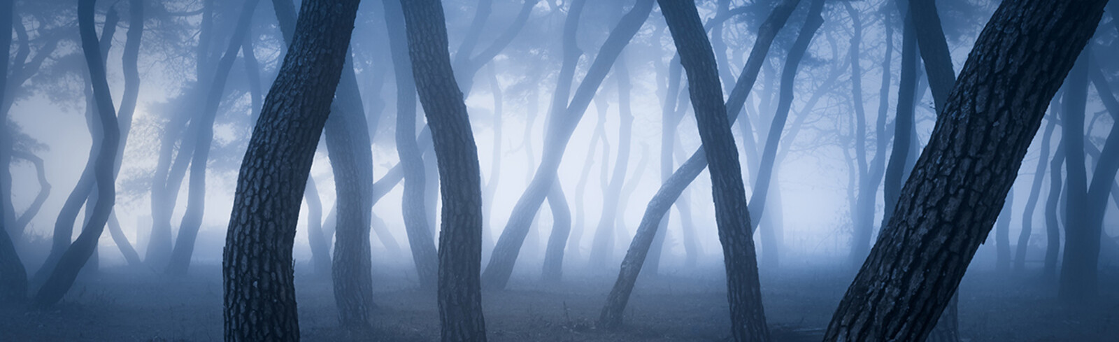 Nathaniel Merz - Pictures, Art, Photography