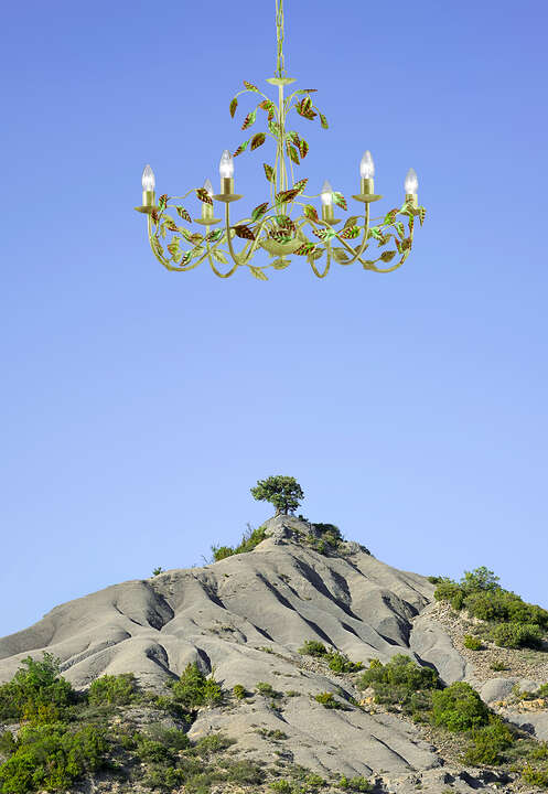   The Tree, Pyrenees  by Ciuco Gutiérrez