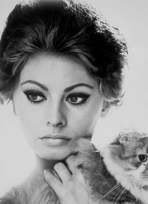  Black and White: Mara with Cat (Sophia Loren) by Vittorio De Sica