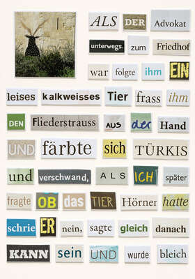  Buchstaben Bilder : Das kalkweisse Tier von Herta Müller