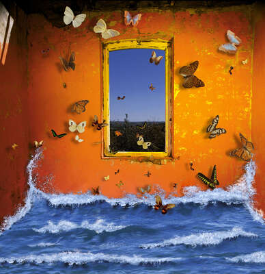   Wandbild Fenster mit Ausblick: Oleaje y mariposas von Rosa Muñoz