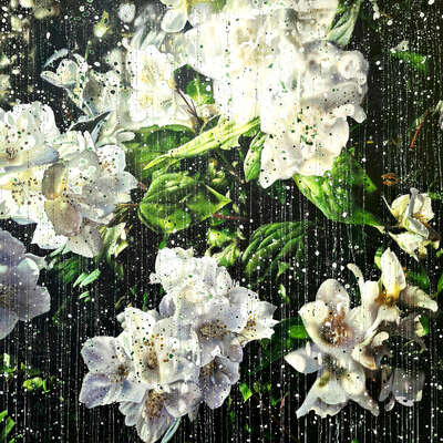  New: Jasmine Flowers 03 by An Doan Nguyen