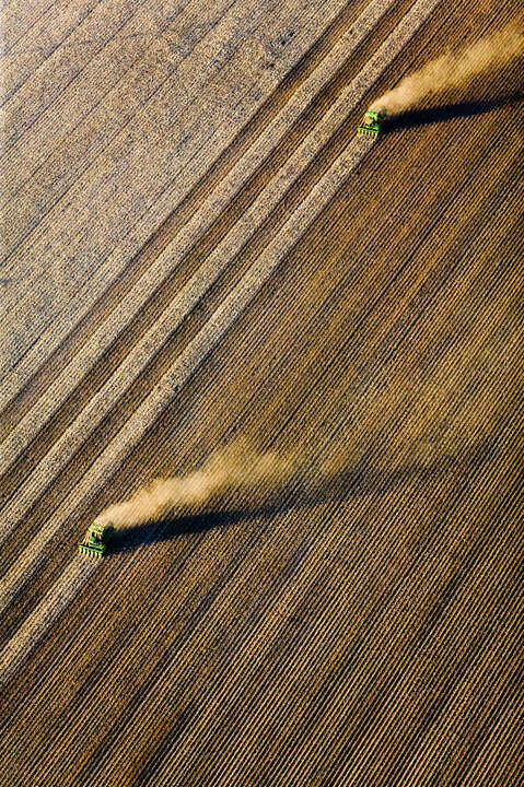   Cotton Harvesting, Buckeye, Arizona von Alex Maclean