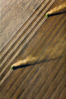  Cotton Harvesting, Buckeye, Arizona von Alex Maclean