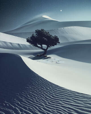  Nature Art: Desertnight by Benjamin Everett