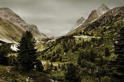   Albula Pass, Schweiz by Berthold Steinhilber