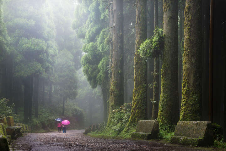   The Giants by Christophe Jacrot