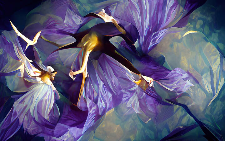   Avian Iris von Carl Jacobson