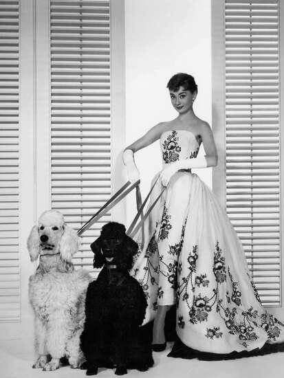 Audrey Hepburn with poodle