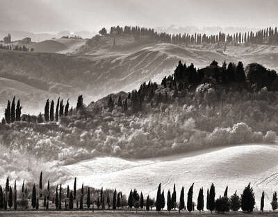   Tuscan Landscape by Classic Collection III