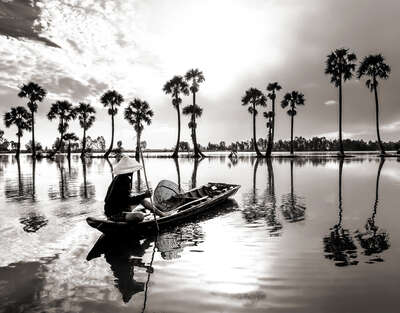   Mekong Delta by Classic Collection III