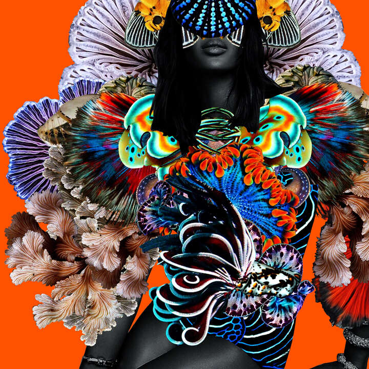  Curated orange artworks: Armour / Amour by Carol Muthiga - Oyekunle