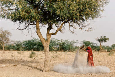   ashes under Khejeri tree, Rajasthan by Christopher Pillitz