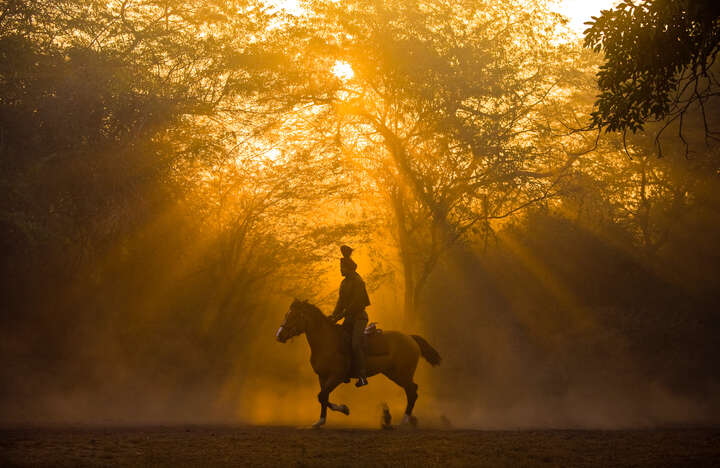 horse training in New Delhi von Christopher Pillitz