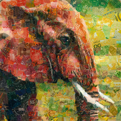   Elephant by Charis Tsevis