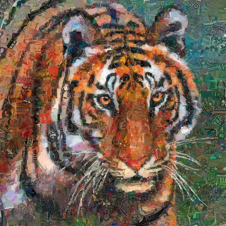  Curated orange artworks: Tiger by Charis Tsevis