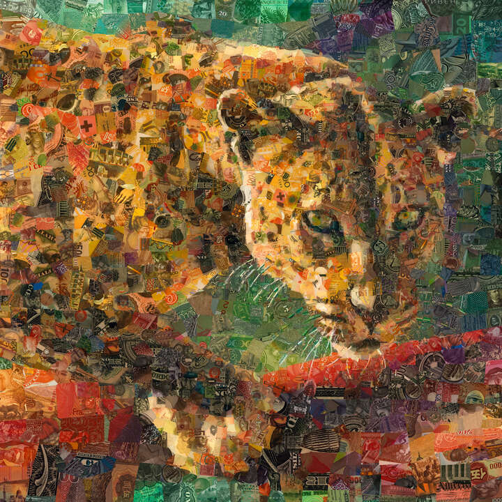   Leopard von Charis Tsevis