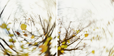  curated two piece artworks: pieces of autumn VIII by Carolin Wolf