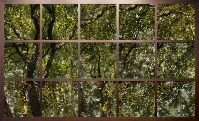   Wandbild Fenster mit Ausblick: Treescape I von Christiane Zschommler