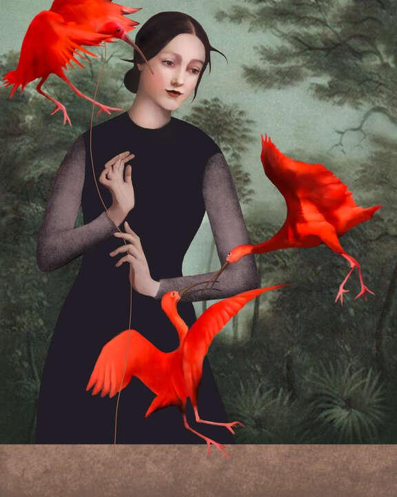 Ibis in Volo by Daria Petrilli