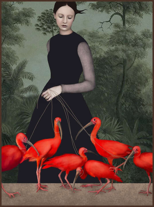 The Lady of the Ibis von Daria Petrilli