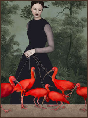 animal wall art:  The Lady of the Ibis by Daria Petrilli