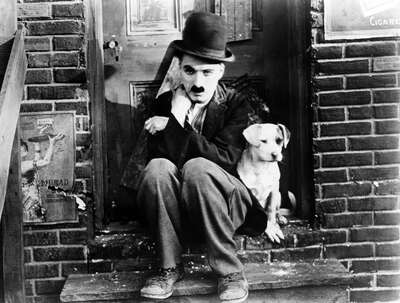 animal wall art:  Tramp (Charlie Chaplin) by Charles Chaplin