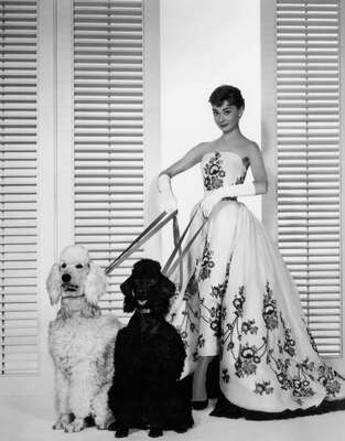   Sabrina Fairchild (Audrey Hepburn) by Billy Wilder