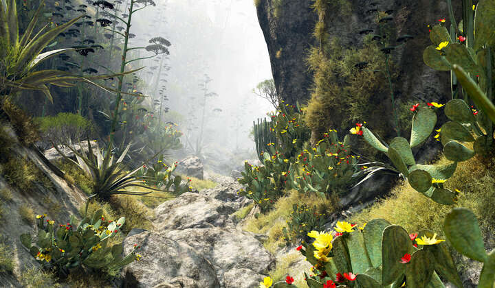  curated boho artwork: Barranco del Rey 33 by Gerhard Mantz