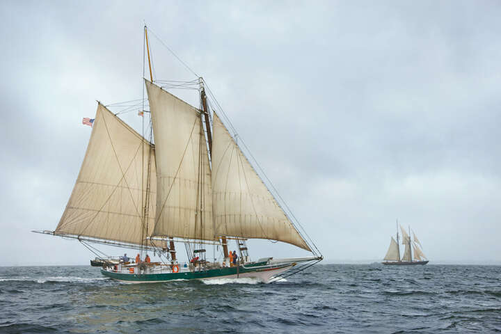   Lady Maryland Racing on the Chesapeake Bay by Greg Pease