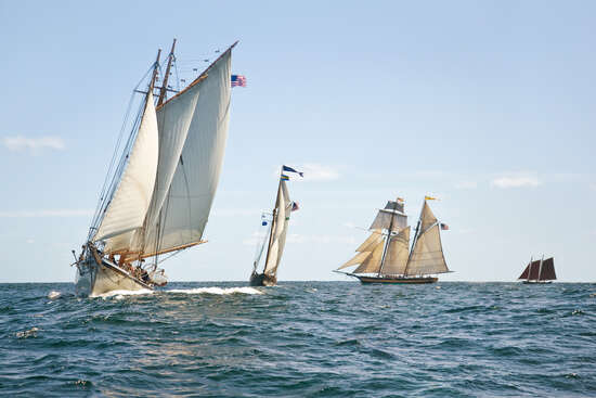 Schooners Racing off Gloucester Harbor by Greg Pease - Limited Edition ...