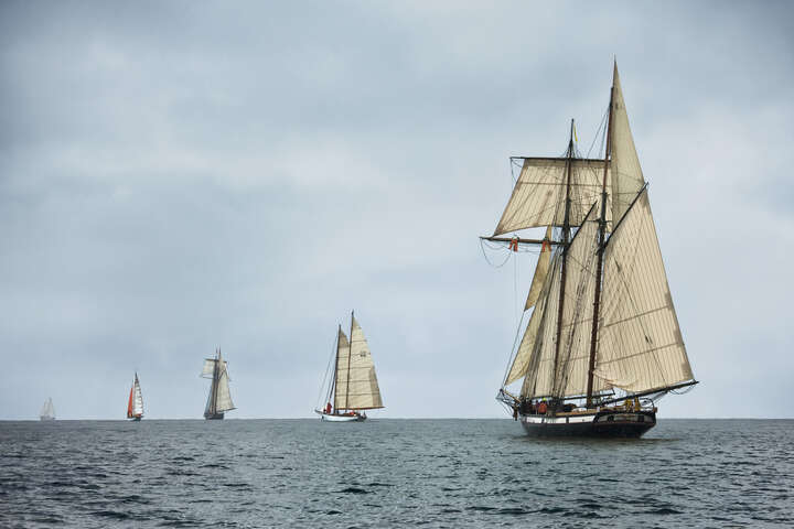   Schooners Racing on the Chesapeake Bay by Greg Pease