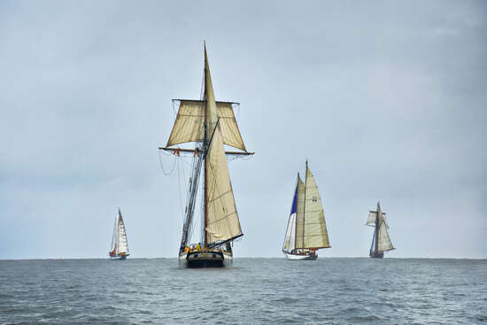 Schooners Racing on the Chesapeake Bay