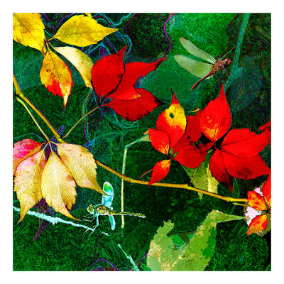   Florales m. Libelle by Heidrun Göres