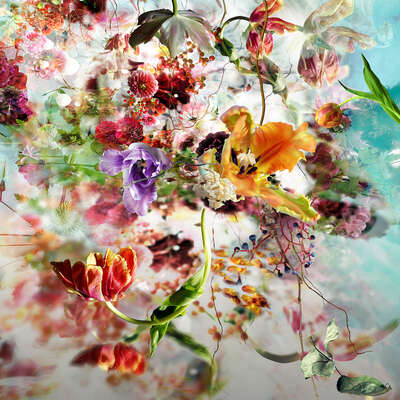  Blumenbild: Lude Nº 11 von Isabelle Menin
