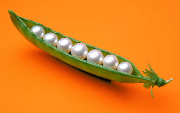  Curated orange artworks: Pearls in a Pod by James Wojcik