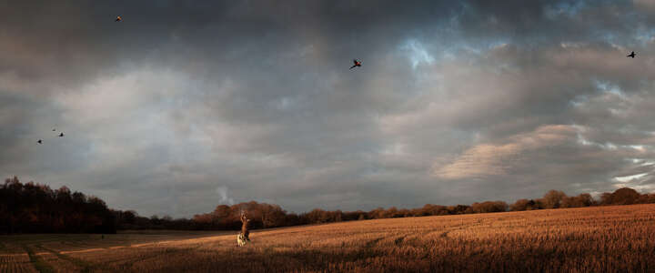  Curated Lumas Landscape Prints: Shooting Party On Lord Shaftesbury's Estate by Justin Barton