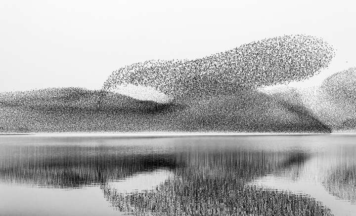 The Big Display, Lough Ennell, Ireland by James Crombie