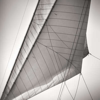   Sails of Rowdy de Jonathan Chritchley