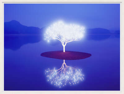  Tree of Life 6-2-1 by Lee Jeonglok