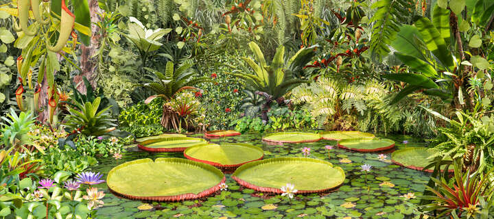  Große Bilder: Botanical II von Katalin Vasali