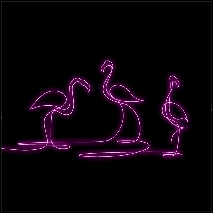 Flamingo by Loooop Studio
