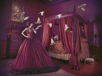   Dove Tale by Miss Aniela