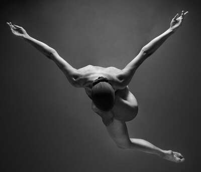  Black and White Photography: body network 4 by Michael Papendieck