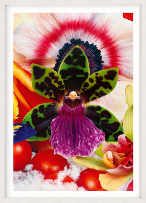  Bathroom art by the masters: Red Sky in the Arctic by Marc Quinn