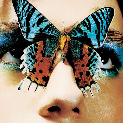  Schmetterlinge Bilder I.N.F.P. von Nicolai Chau
