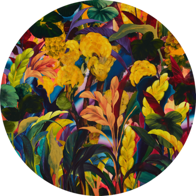  Blumenbilder Acrylglas: Lizard Tongue von Orlanda Broom