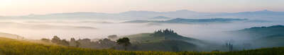   Pienza Yellow by Peter Adams