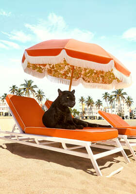  Geschenke für Tierliebhaber Miami Beach von Paul Fuentes