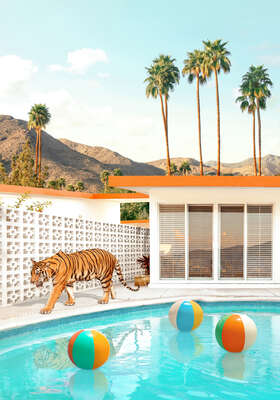   Wandbild Fenster mit Ausblick: Pool Desert Tiger von Paul Fuentes